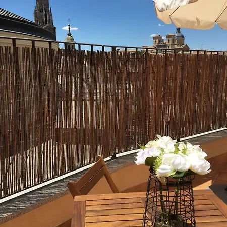 Atico Del Rojas Apartment
